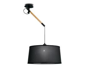 M4929  Nordica Pendant 1 Light